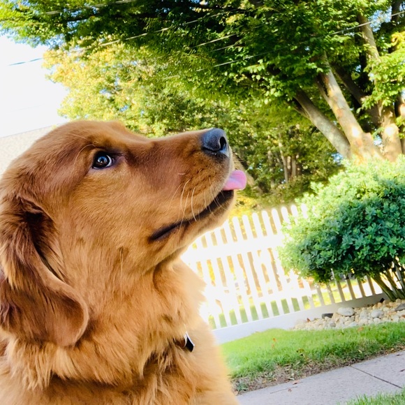 Meet your Posher, Sarah - Picture 2 of 3